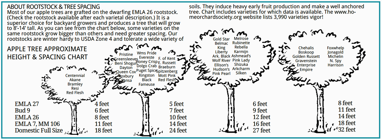 Tree Spacing (trees forum at permies)